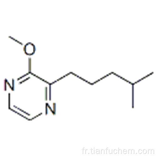 2-méthoxy-3- (4-méthylpentyl) pyrazine CAS 68844-95-1